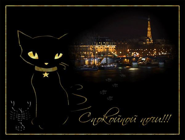 Гифки котиков спокойной ночи. Доброй ночи кошки. Доброй ночи гифки. Добрый вечер чёрный кот. Черная кошка вечером.
