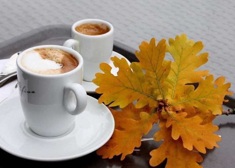 Красивое Фото Осени И Кофе