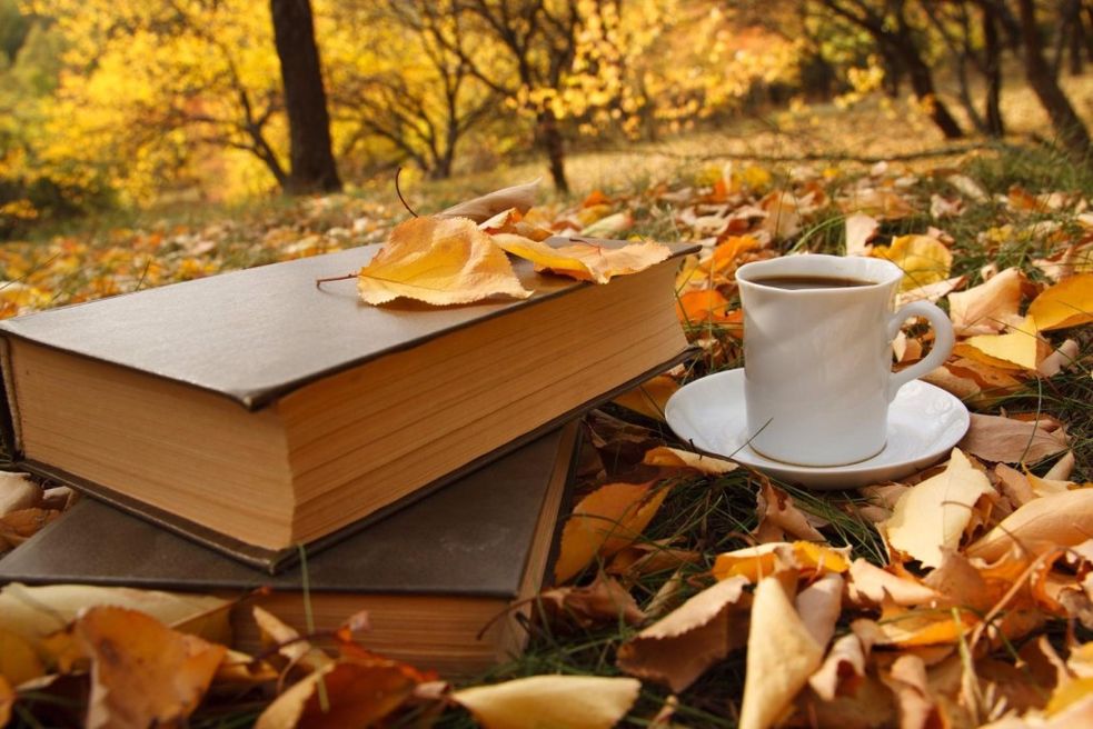 Осенний Кофе Фото На Природе
