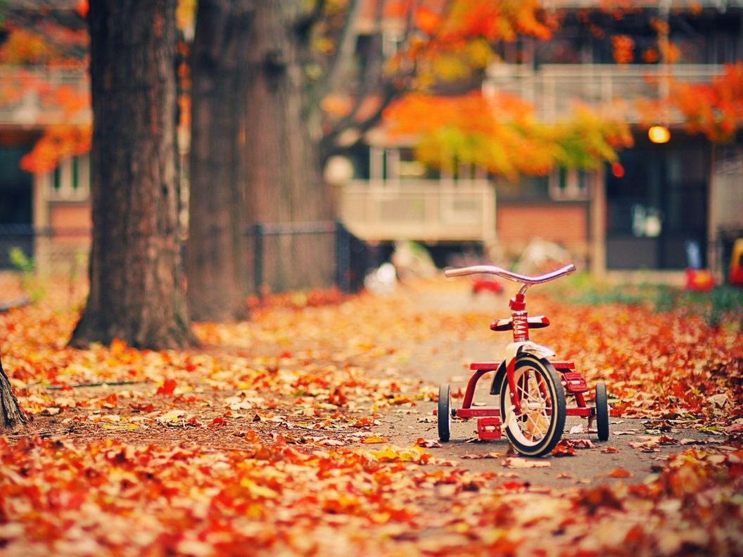 Осенняя Пора Фото Красивые