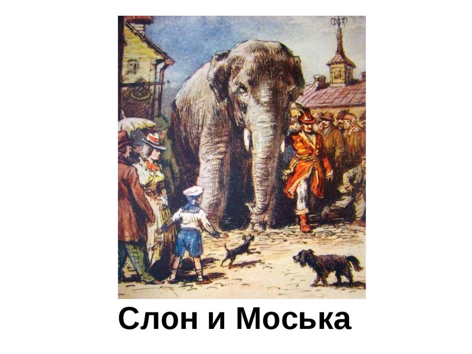 Слон и моська автор. Слон и моська Крылова. Басня Крылова слон и моська. Слон Крылов.
