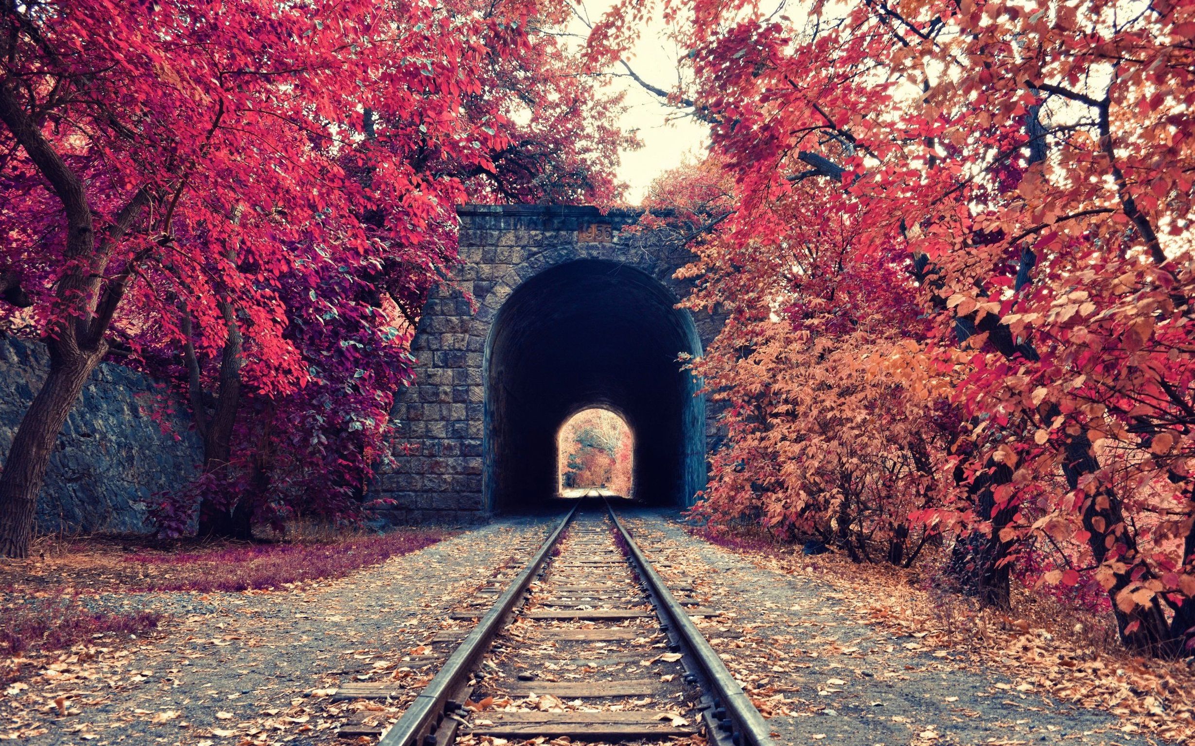 Железная дорога осень