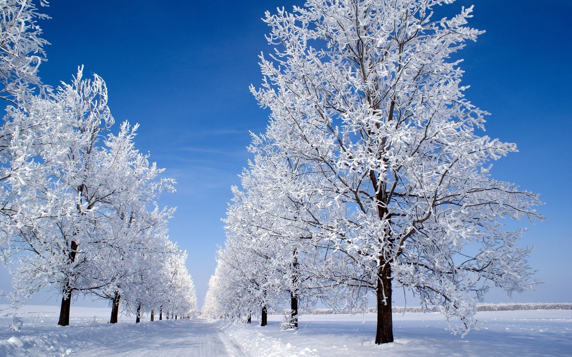 Красивые картинки про зиму (80 фото) .