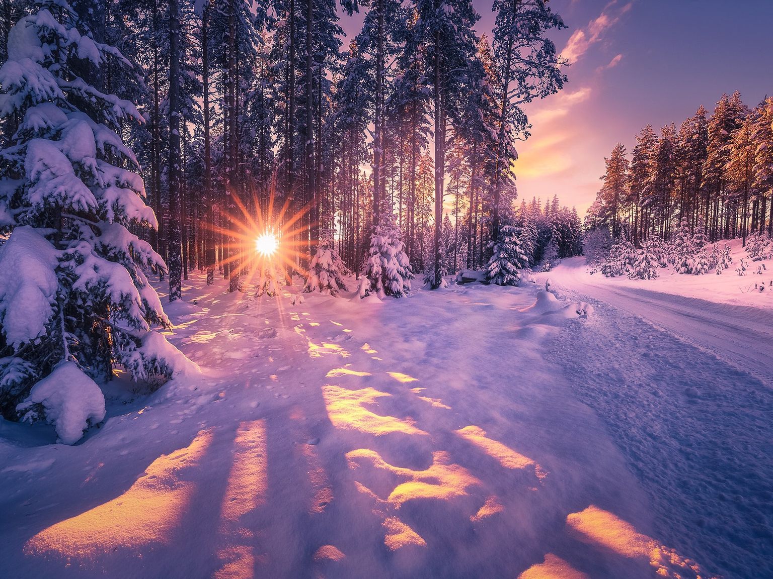 Красивые фото в лесу зимой фото
