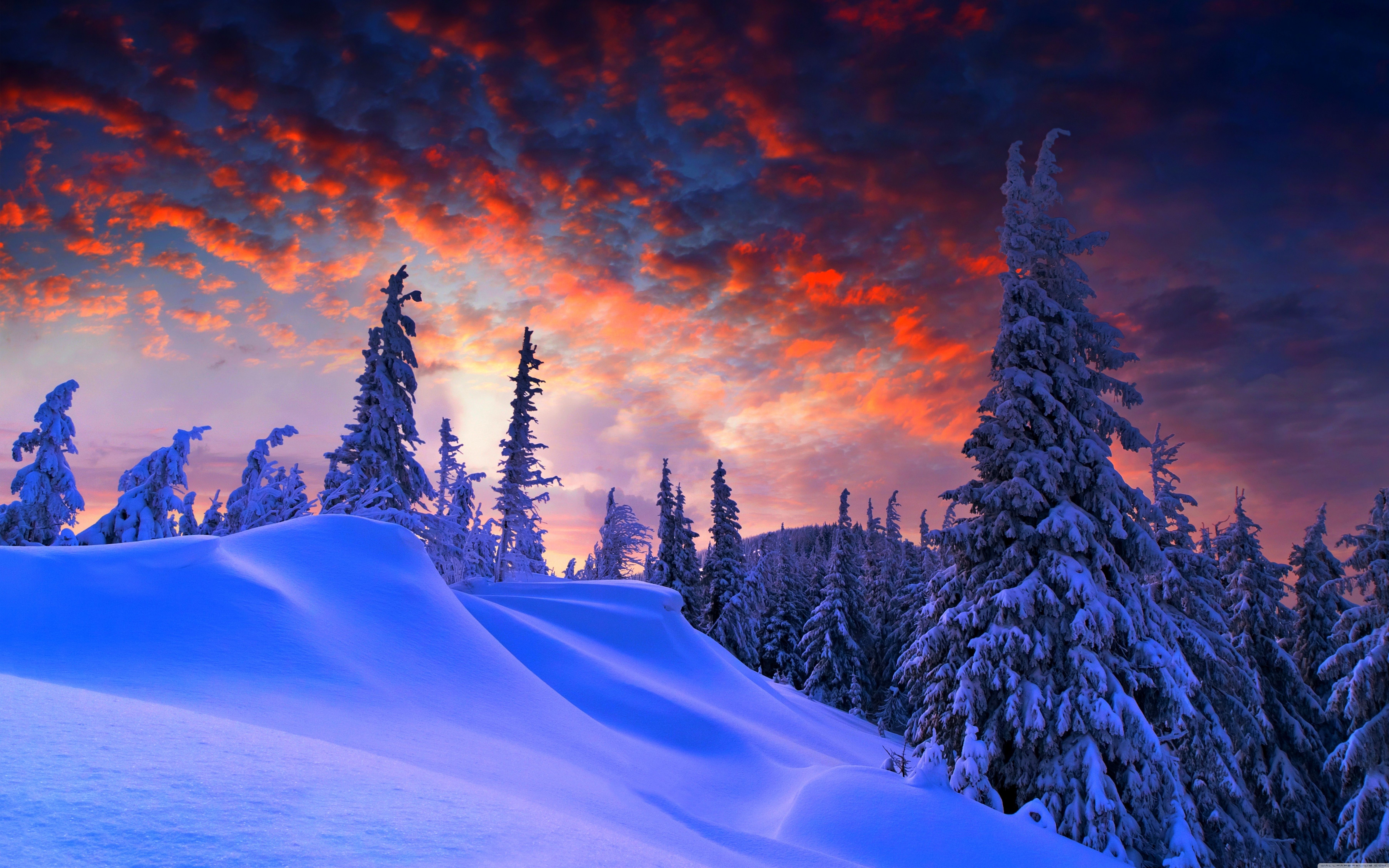 Зимние картинки. Красивая зима. Зимний пейзаж. Зимняя природа. Снежный пейзаж.