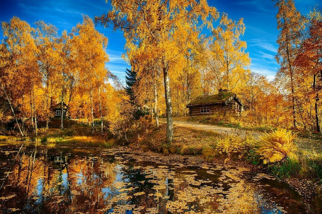 Осенние Пейзажи Фото Золотой Осени Скачать Бесплатно