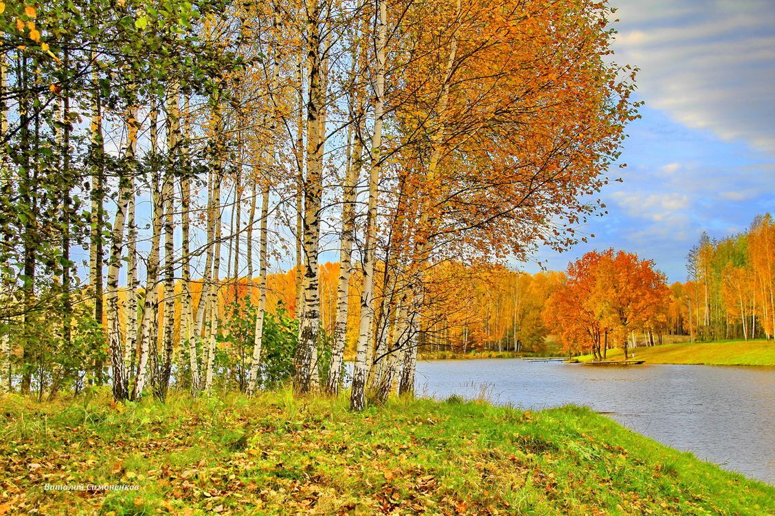 Осенние пейзажи фото золотой осени