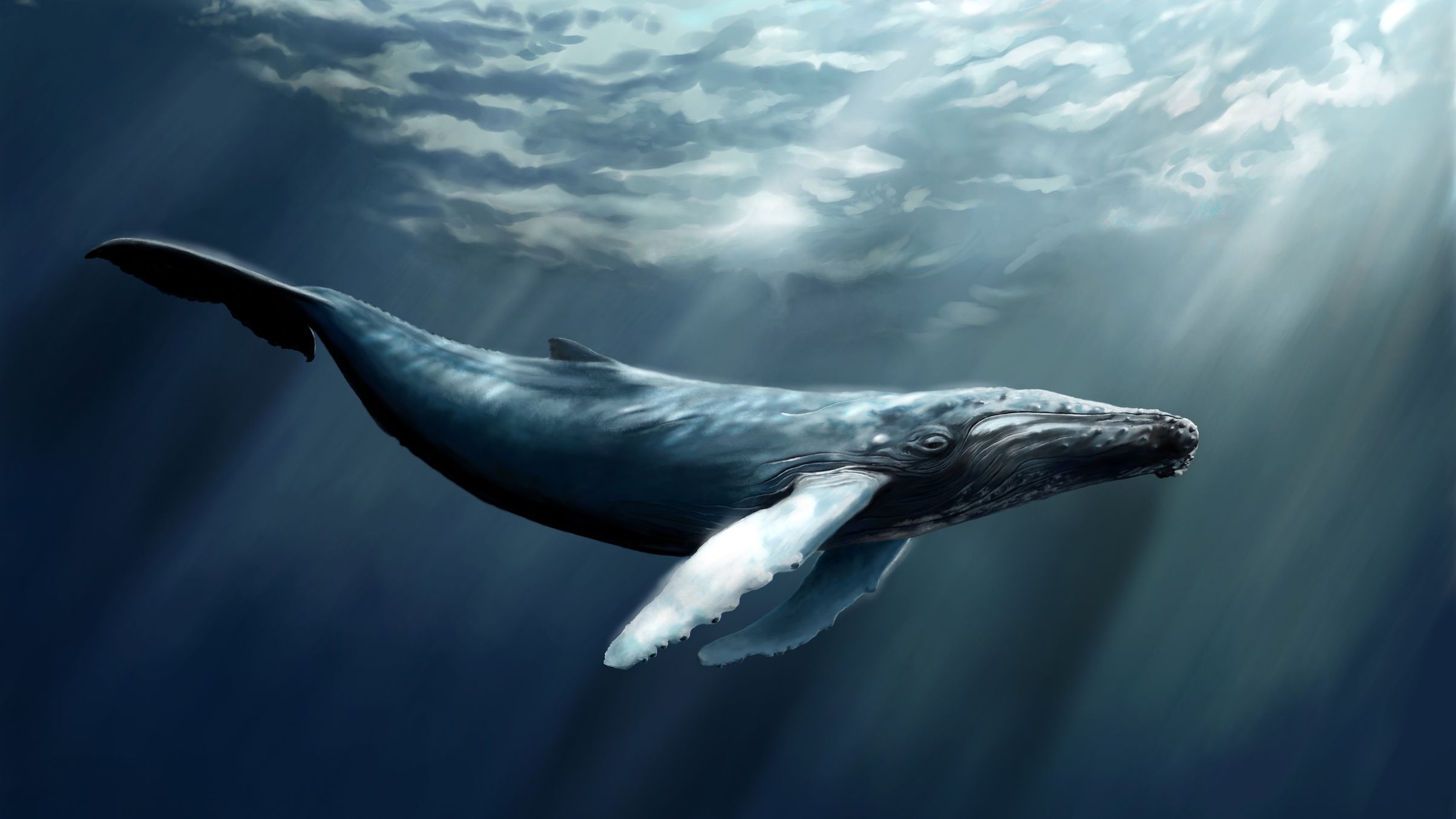 Картинки киты (55 фото) 