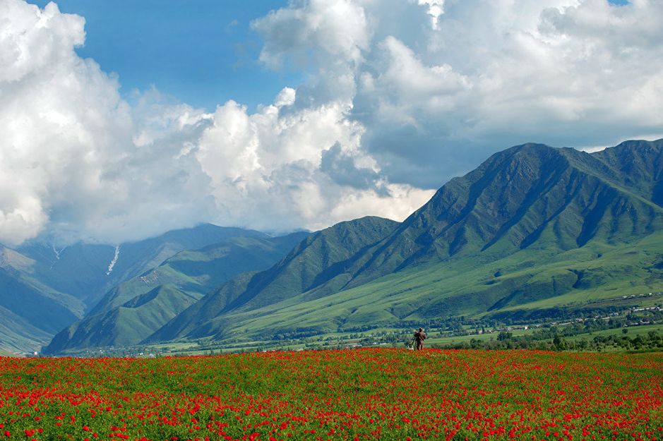 Кымыздык кыргызстана фото