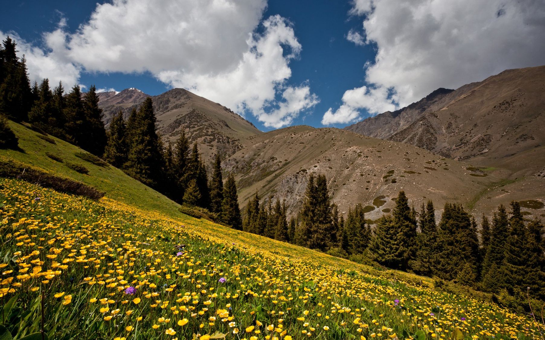 картинки горы кыргызстана