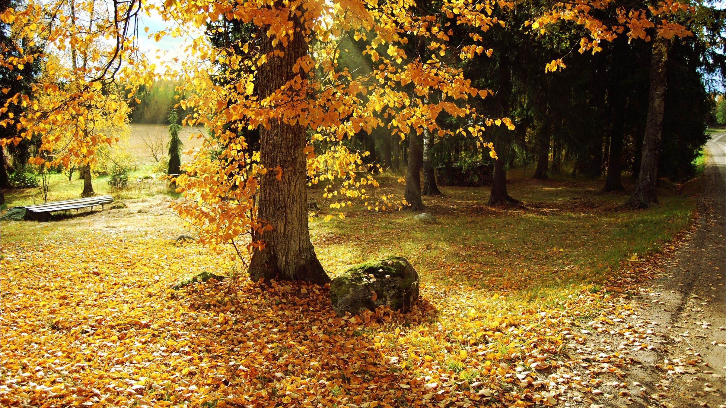 Золотая осень листопад