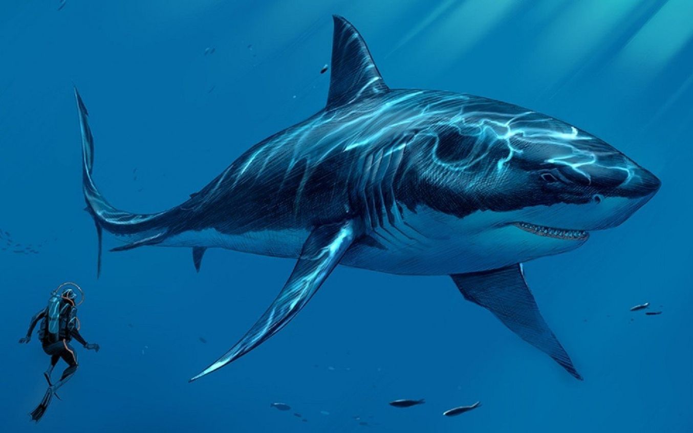 Самая большая акула в мире МЕГАЛОДОН