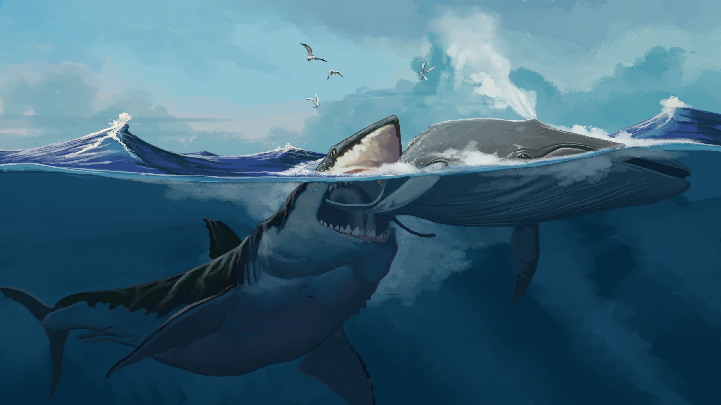 Акула МЕГАЛОДОН И синий кит