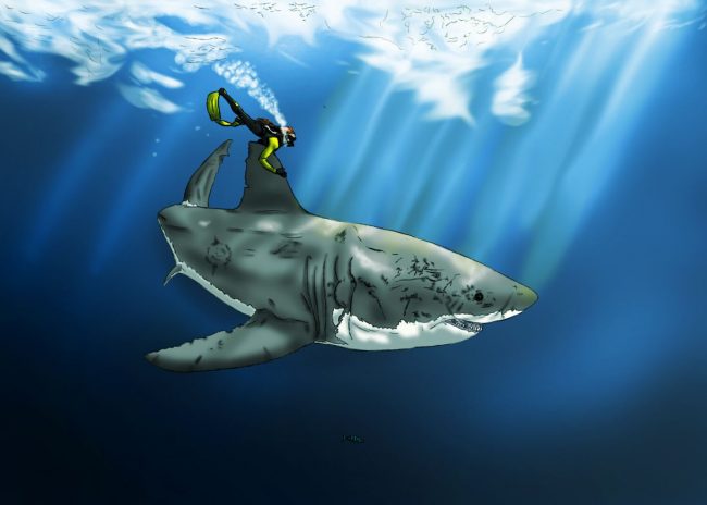 охота на акулу мегалодон