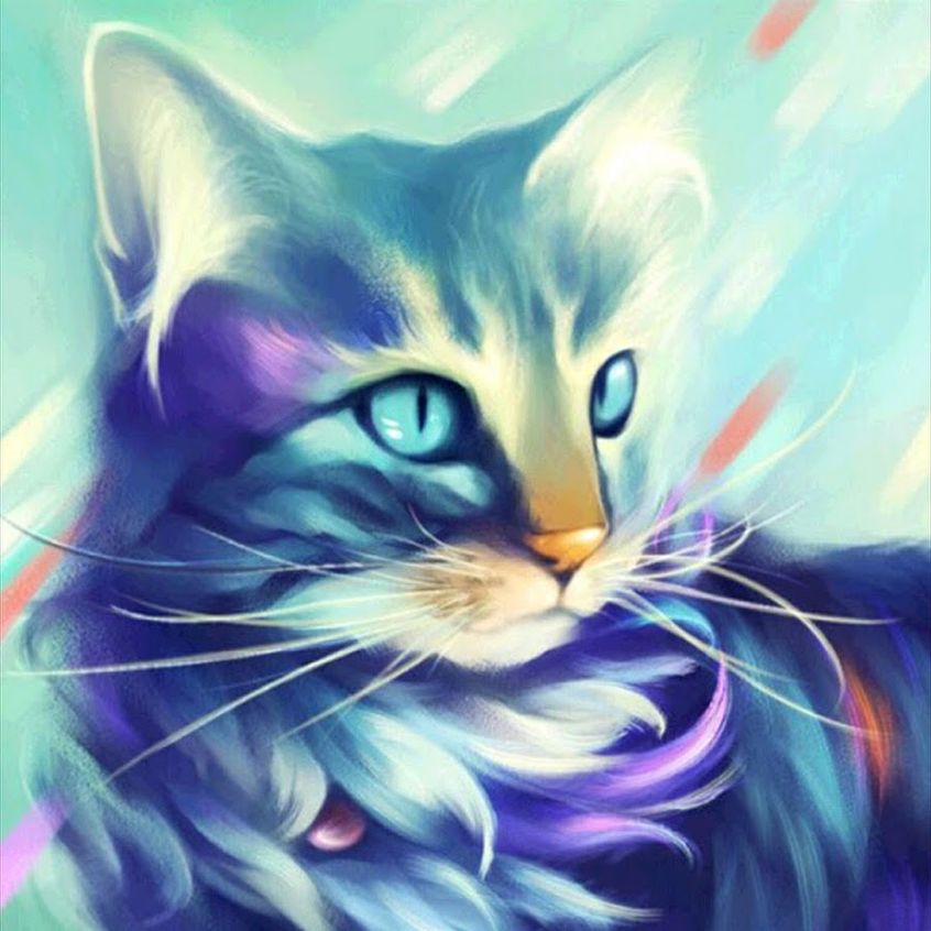 Картинки на аватарку с котом