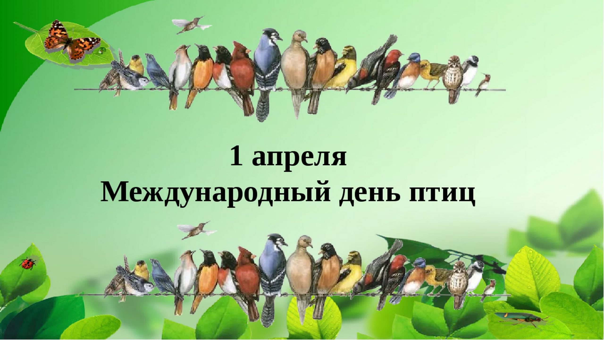 День птиц видео для детей. День птиц. Международный день птиц. 1 Апреля Международный день птиц. Всемирный день птиц для детей.